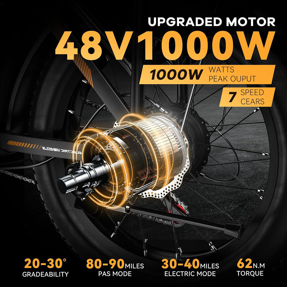 1000W, 48V 20AH Large Removable Battery E Bike