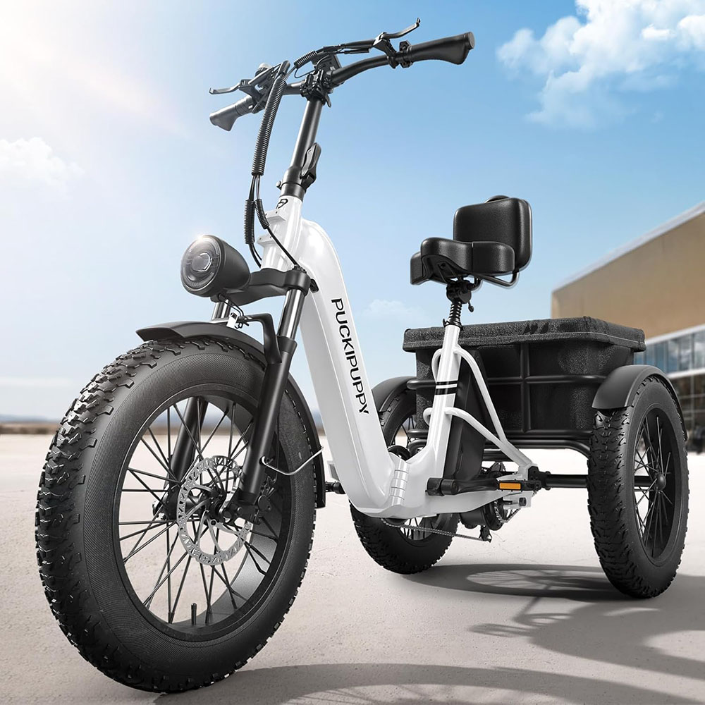 Electric Trike for Adult with 750W Motor, 48V 18AH Cells Battery, Pickup Class 500 LB Load Electric Tricycle