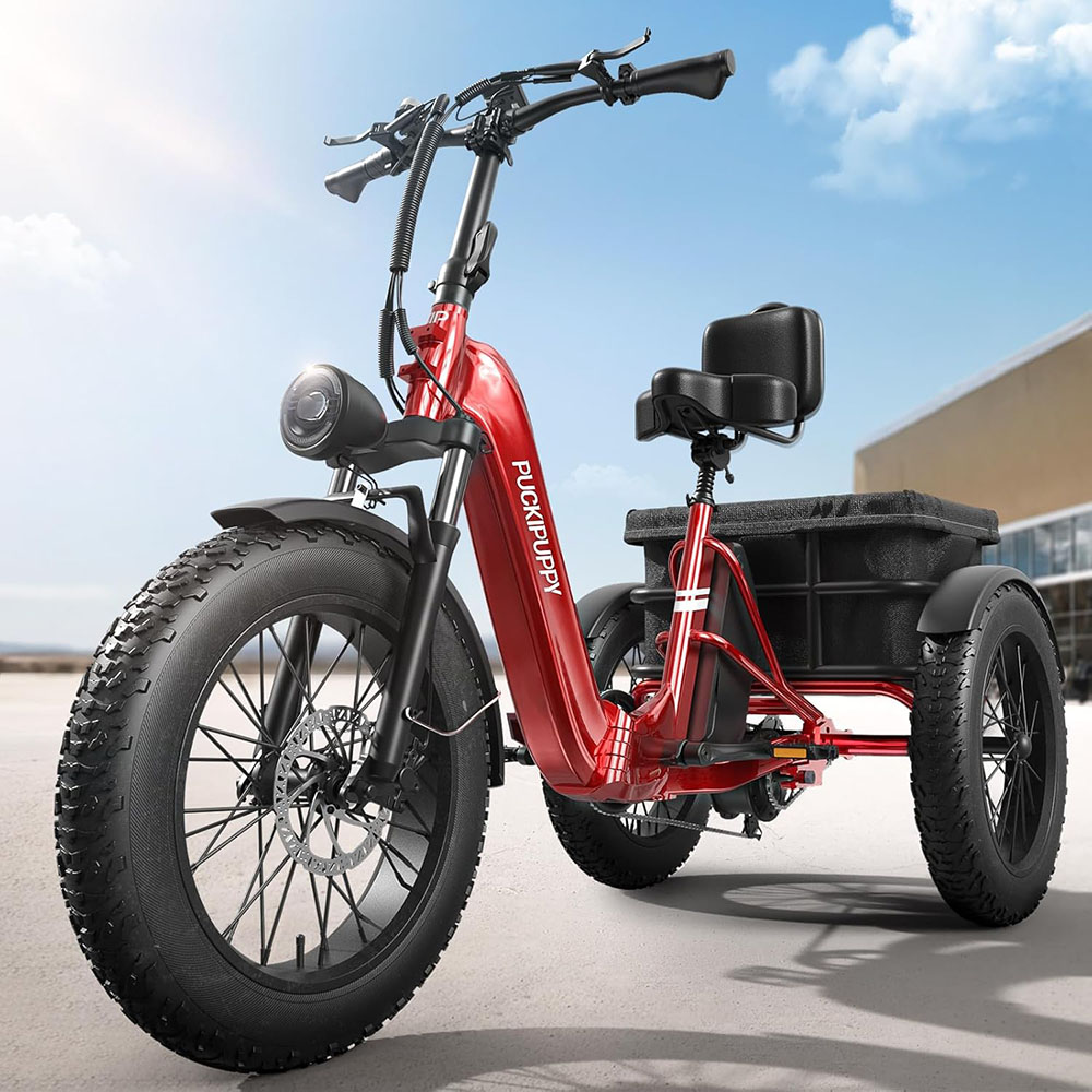 Electric Trike for Adult with 750W Motor, 48V 18AH Cells Battery, Pickup Class 500 LB Load Electric Tricycle