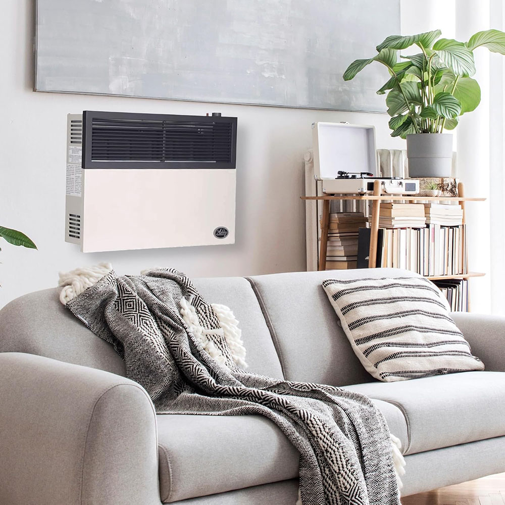 Ashley Hearth Products 17,000 BTU Direct Vent Liquid Propane Wall Mounted Heater with Piezo Lightning, Safety Pilot and Built in Regulator