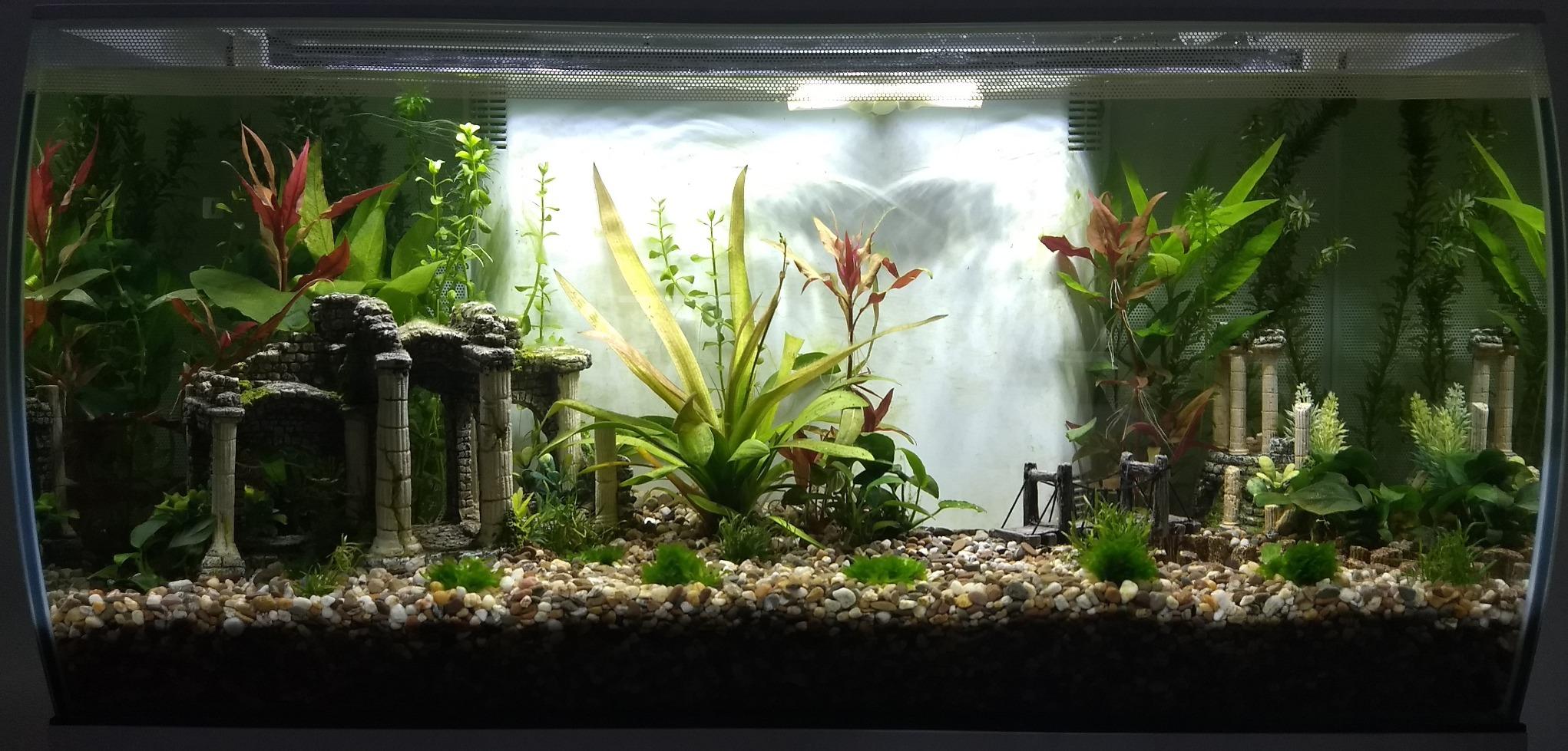 Fluval Flex 32.5 Aquarium Kit - Fish Tank for Fish &Plants.